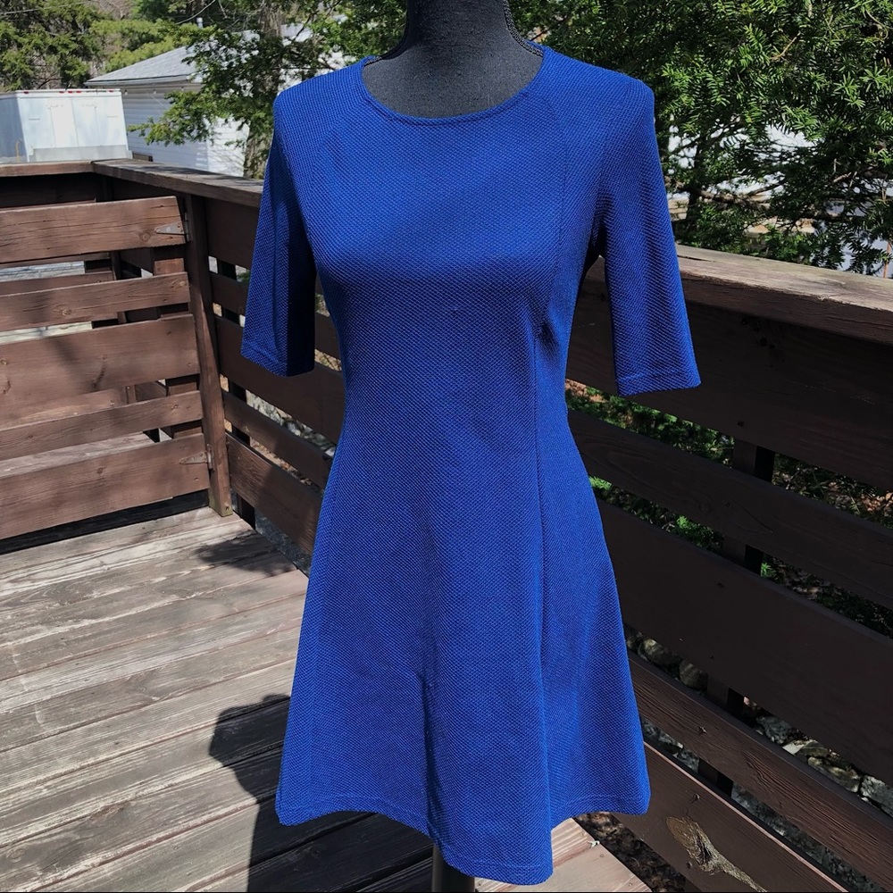 Embroidered Topshop Fit & Flare Dress